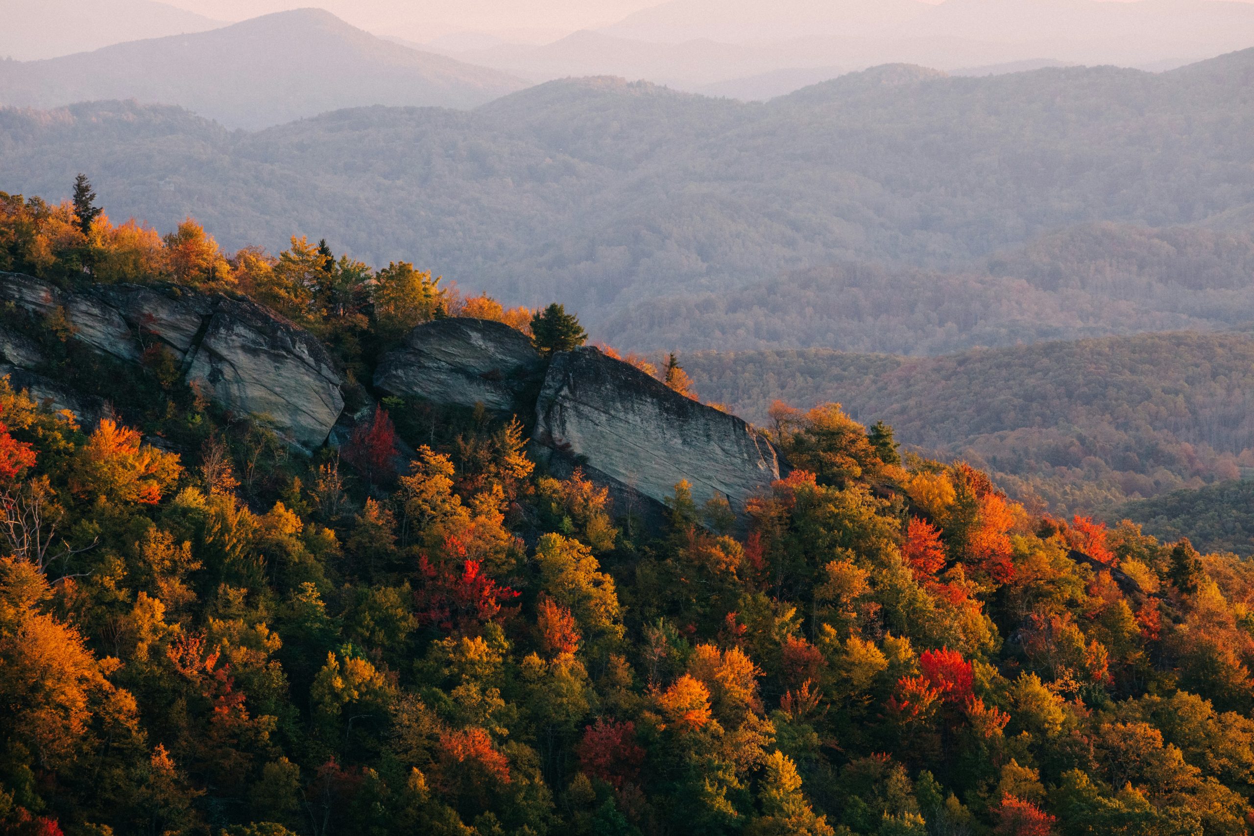 wes-hicks-Ag6m0LZNwnE-unsplash A drone view of a cityscape of Raleigh found on Pexels and taken by Curtis Adams