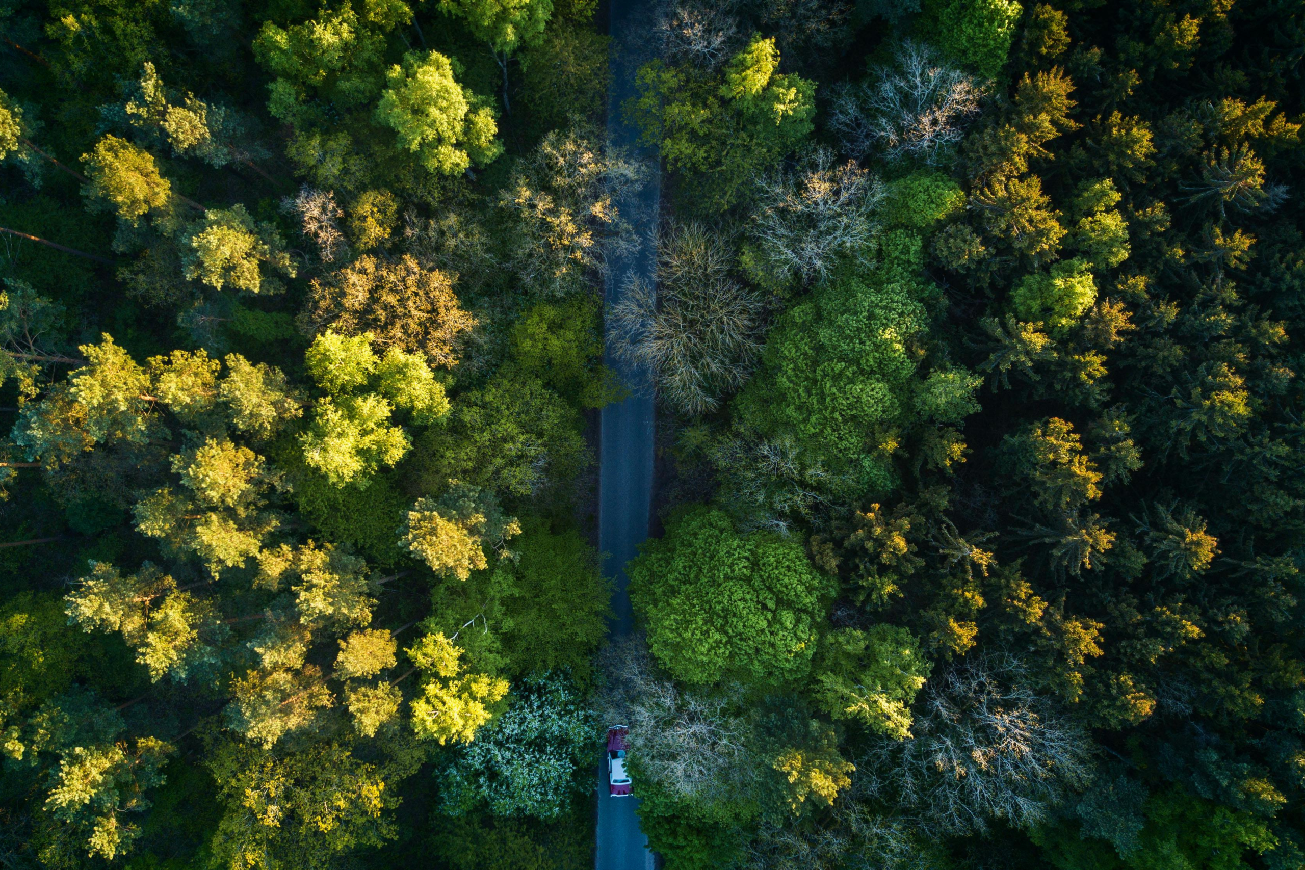 A drone view of a cityscape of Raleigh found on Pexels and taken by Curtis Adams