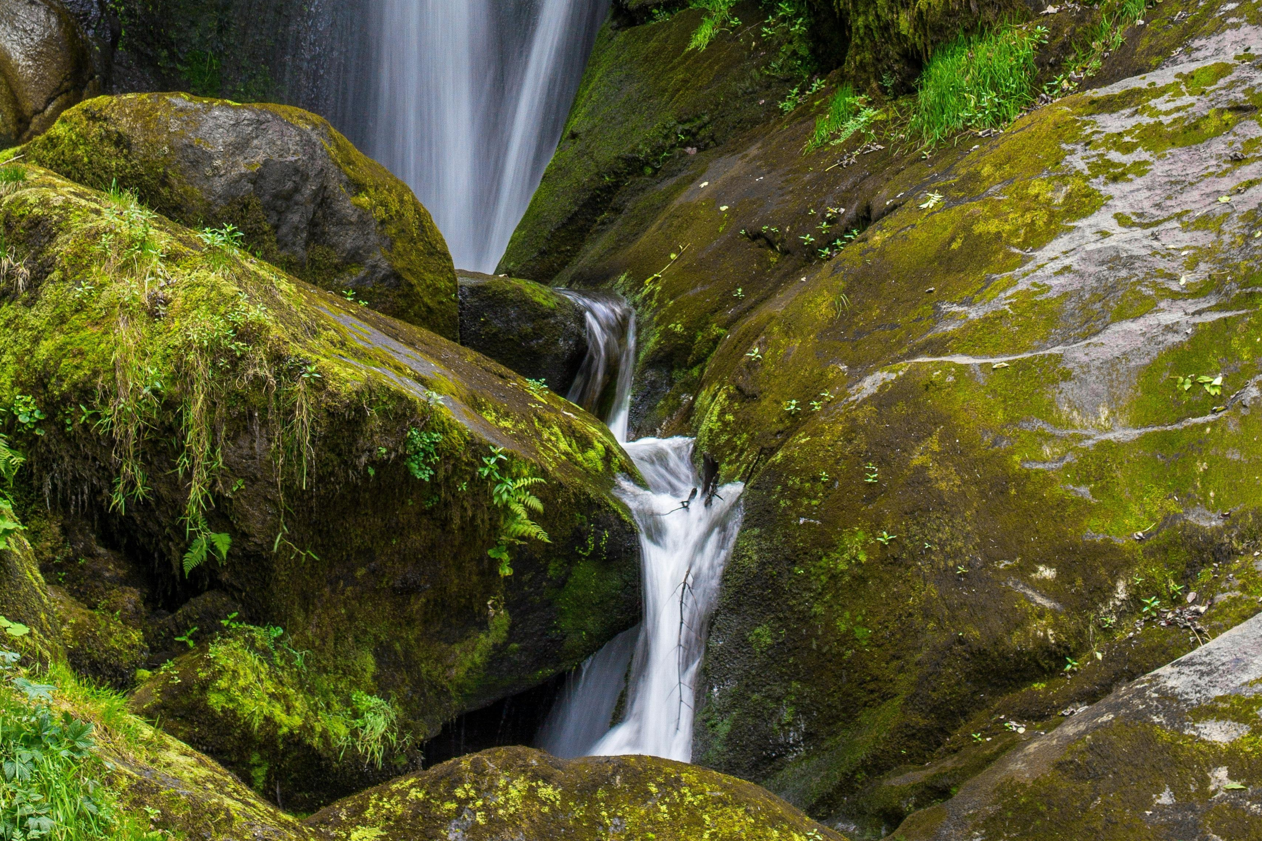 forest-waterfall LifeCare Counseling & Psychiatry 8801 Fast Park Drive Suite #107, Raleigh, NC 27617